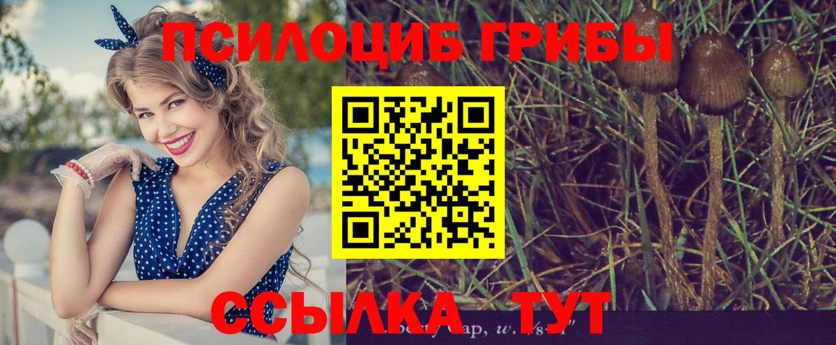 Галлюциногенные грибы GOLDEN TEACHER  Вход с VPN  Холмск  Галлюциногенные грибы Magic Shrooms 